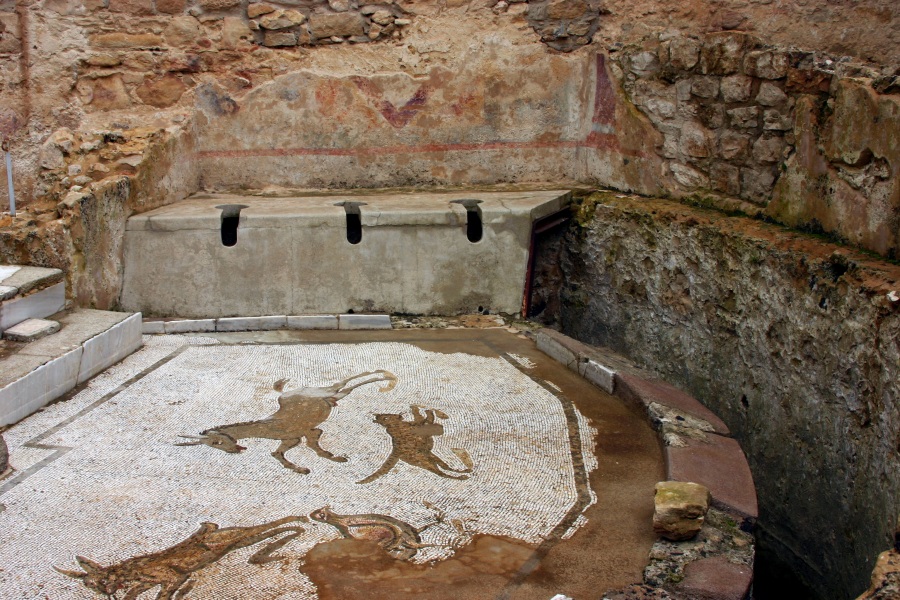 La storia segreta delle antiche latrine