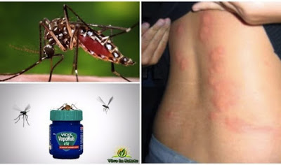 Tutta la medicina di acne nel tavolo