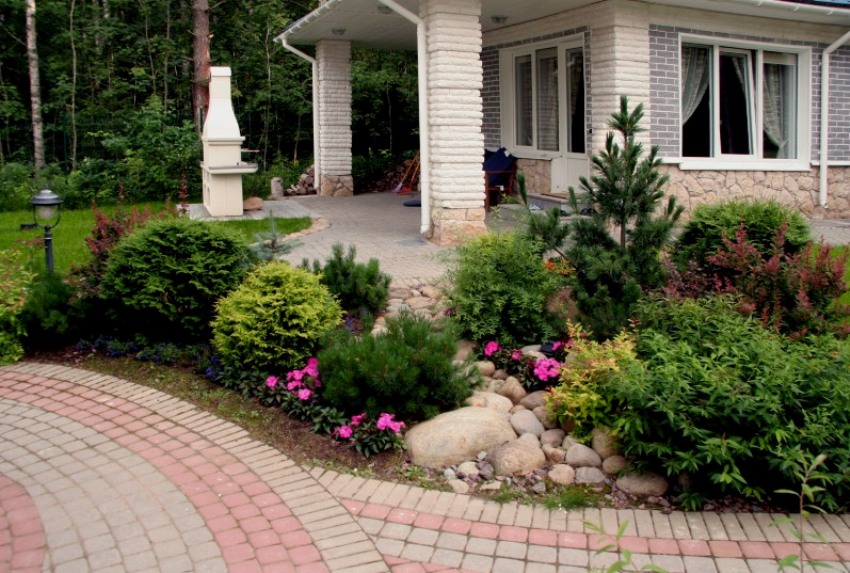 Giardino rocciosi, consigli utili su come realizzarlo e quali ... Piante disegno Giardino