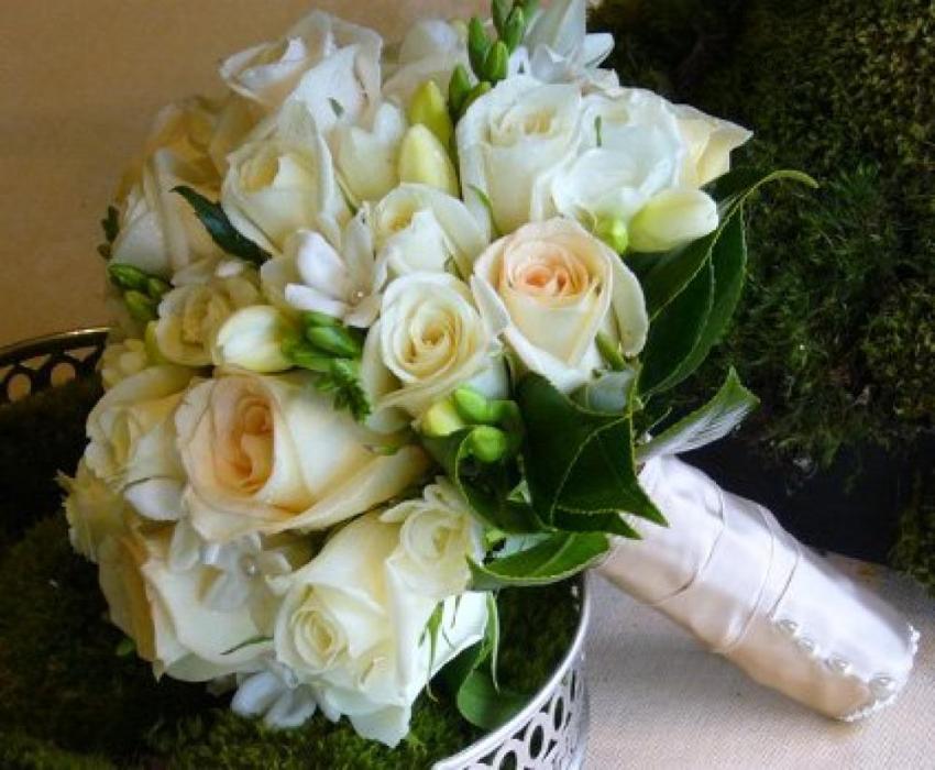 Роза Фрезия Фото И Описание – Telegraph