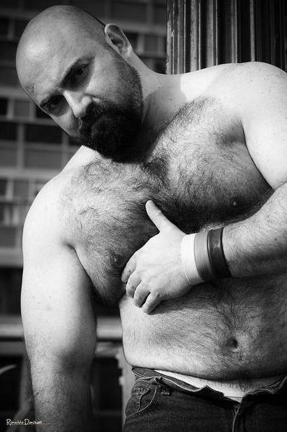 Gay bear quotes