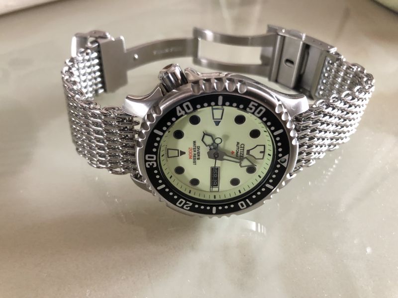 Citizen Promaster NY0040, \