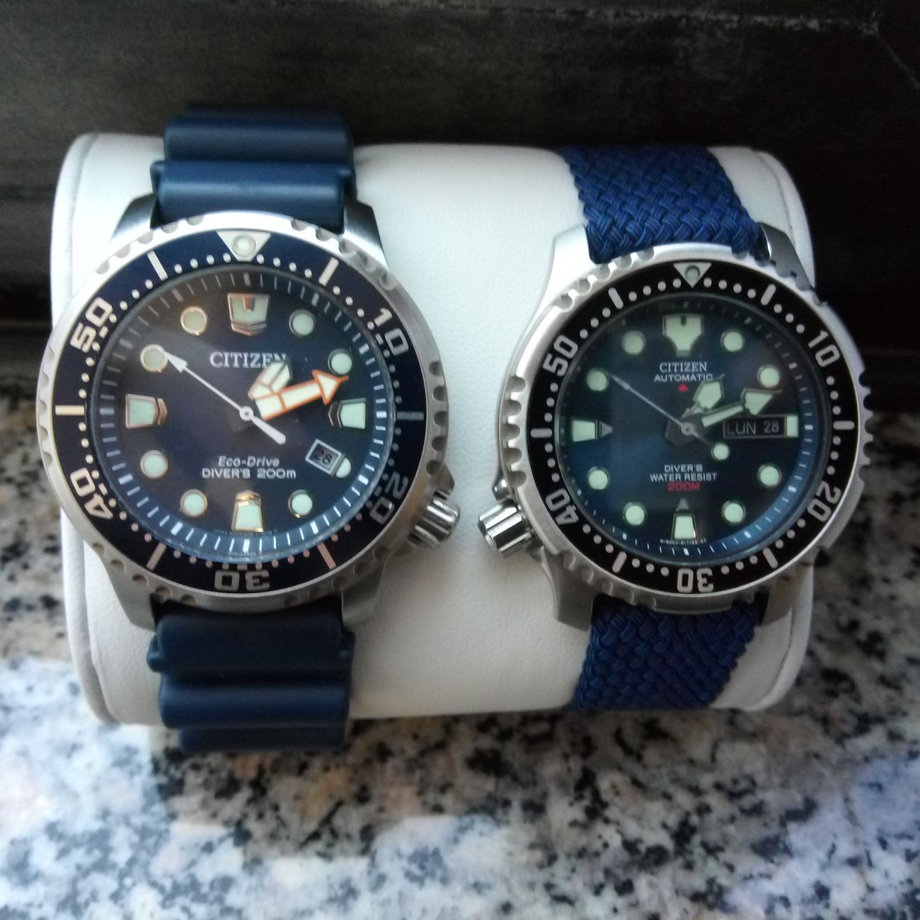 Citizen Promaster vs Eco Drive Diver Confronto non Tecnico