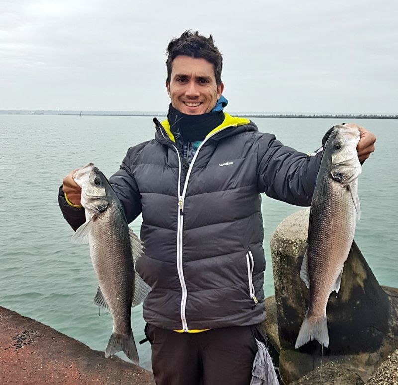 daiwa amorphous bolo extreme