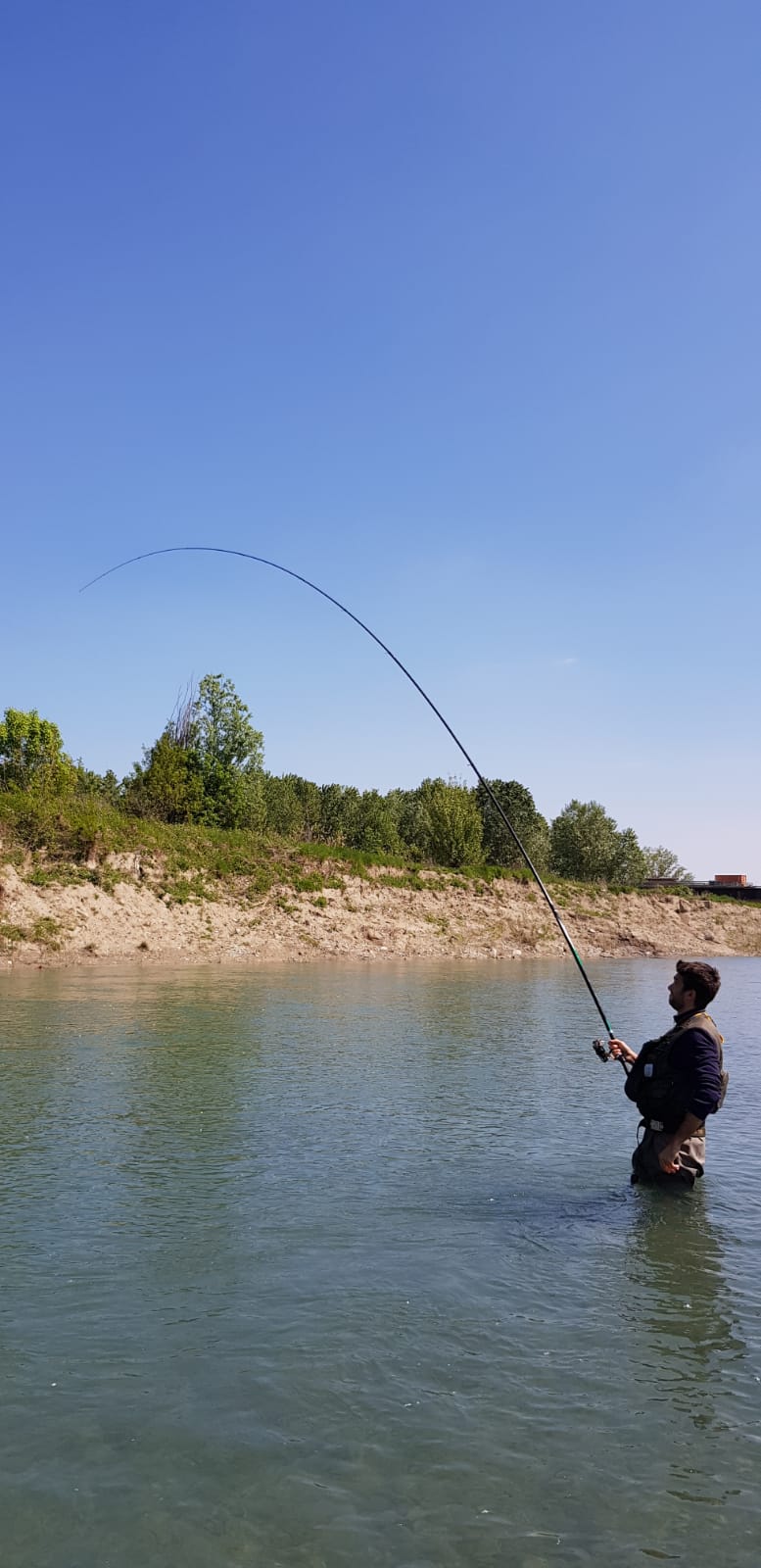 daiwa amorphous bolo extreme