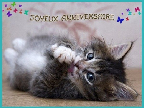 Bon Anniversaire Diogene