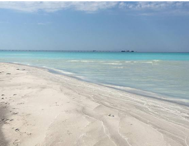 Rosignano Solvay Si Può Fare Il Bagno