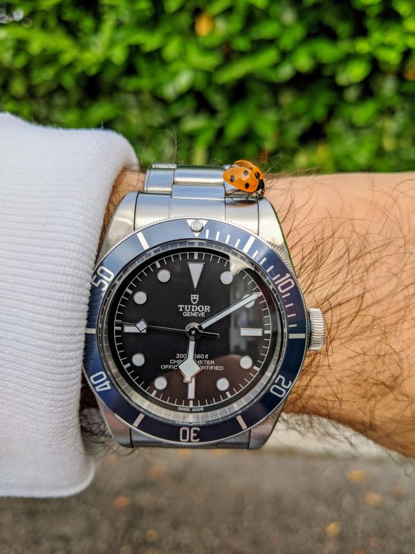 Tudor vs Omega con budget di 3,5K : info e consiglio acquisto