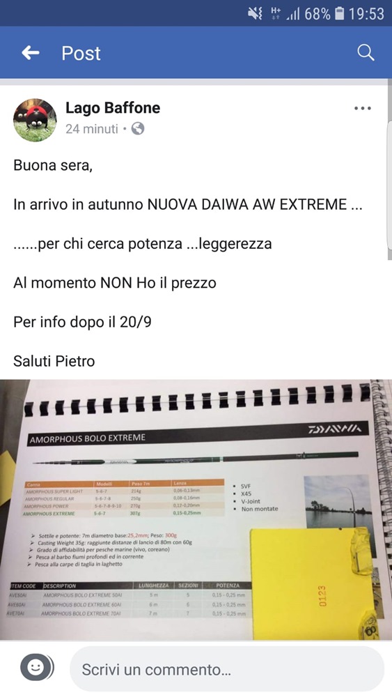 daiwa amorphous extreme