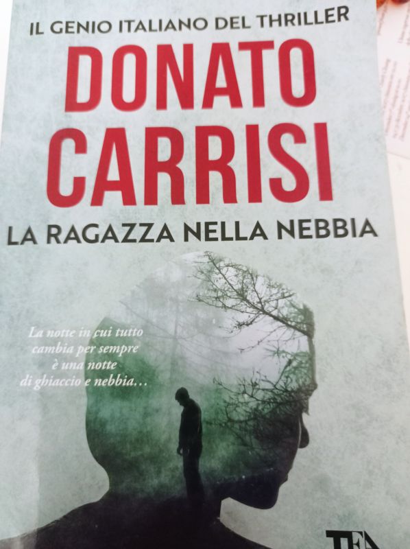 La ragazza nella nebbia