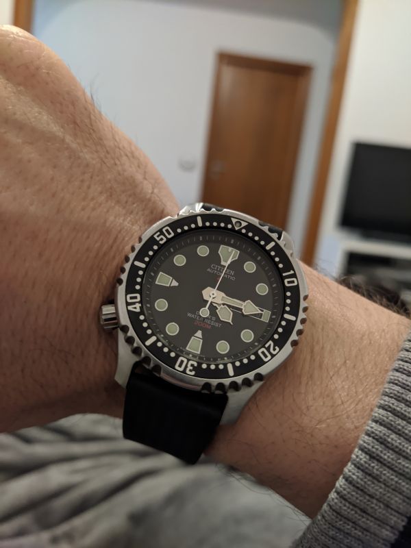 Citizen Promaster NY0040, \