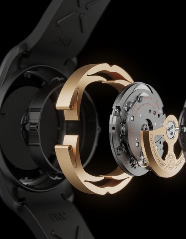 shock absorbing structure watch