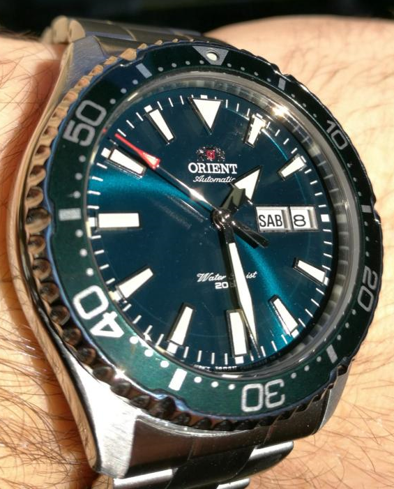 Orient Mako --\u003e Kamasu . Evoluzione di una specie