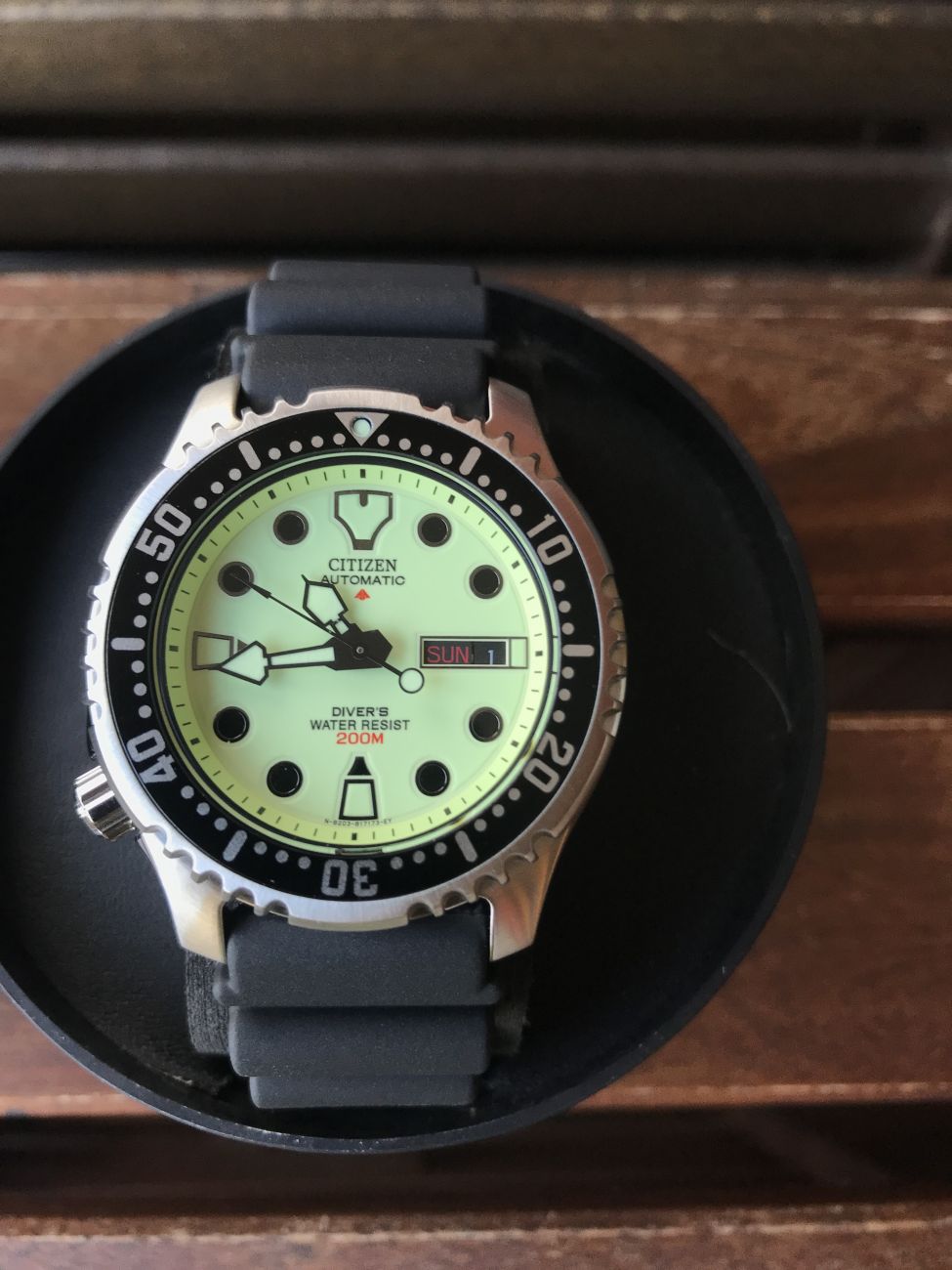 Citizen Promaster NY0040, \