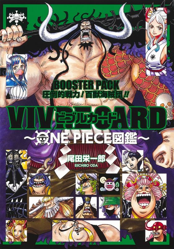 Vivre Card Databook Pagina 10