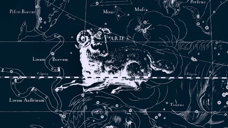 Astrologia: caratteristiche di tutti i segni zodiacali e affinita ... Toro e ariete a letto