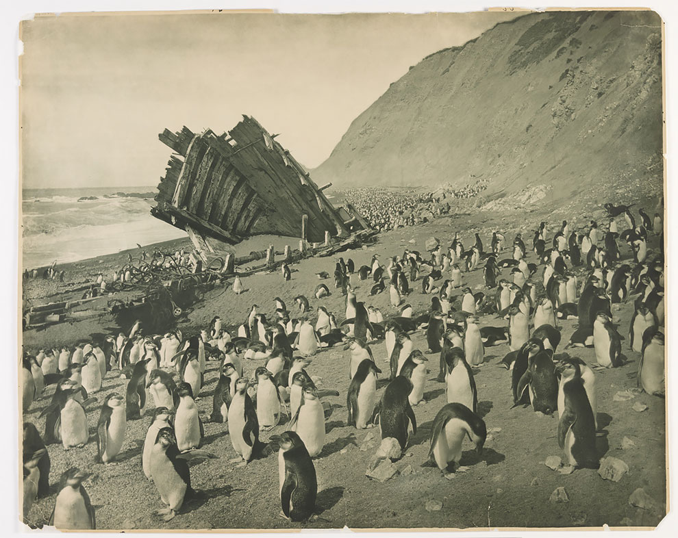 LA PRIMA SPEDIZIONE ANTARTICA AUSTRALIANA DEL 19111914 (FOTO STORICHE)