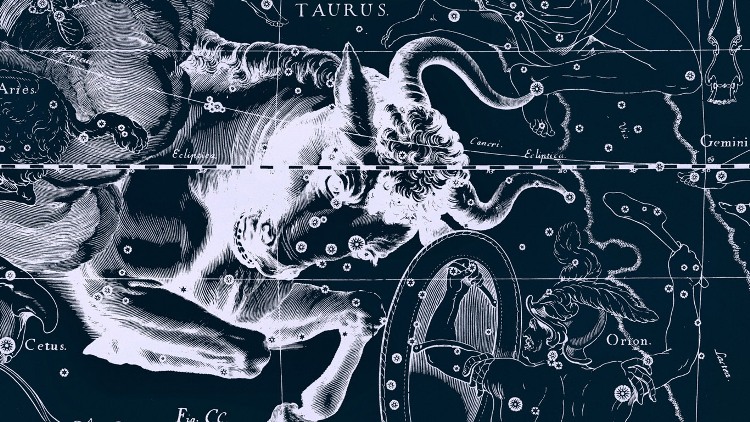 Astrologia: caratteristiche di tutti i segni zodiacali e affinita ... Toro e ariete a letto