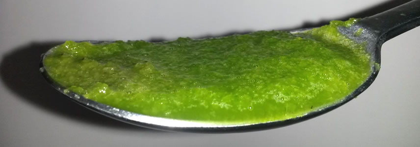Ricetta Succo Aloe Vera Di Padre Romano Zago
