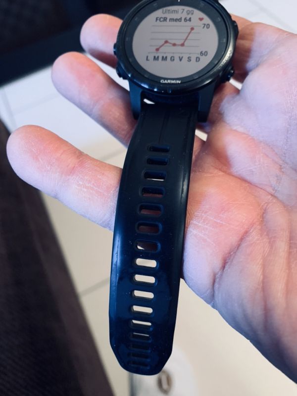 fenix 5 s plus