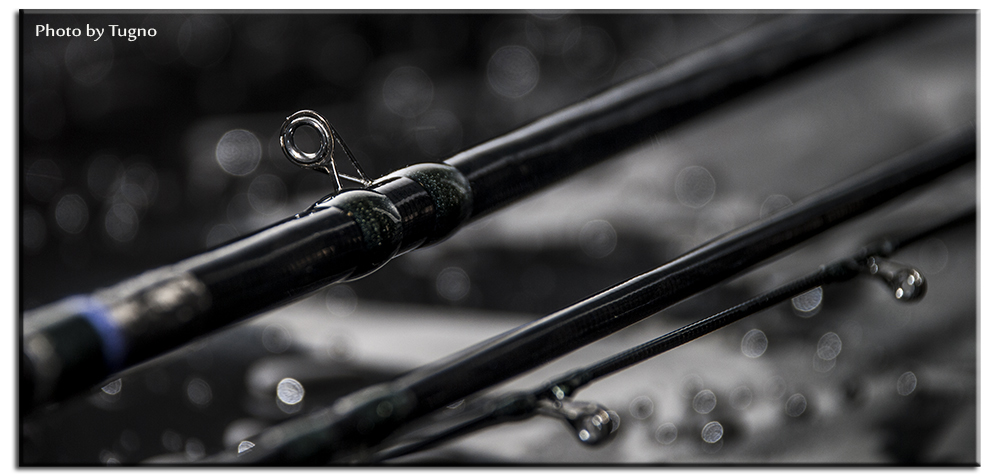 Canna Da Pesca Shimano Diaflesh Tr 380 Azione B 2-5 Gr 3.80 Metri Nuova