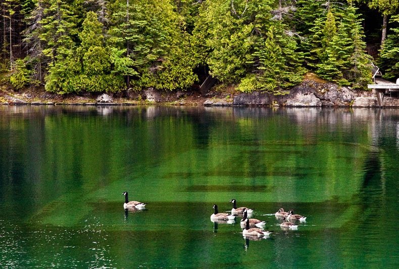 Canada Il Lago Huron famoso per i naufragi, paradiso dei sommozzatori Canada Il Lago Huron famoso per i naufragi, paradiso dei sommozzatori