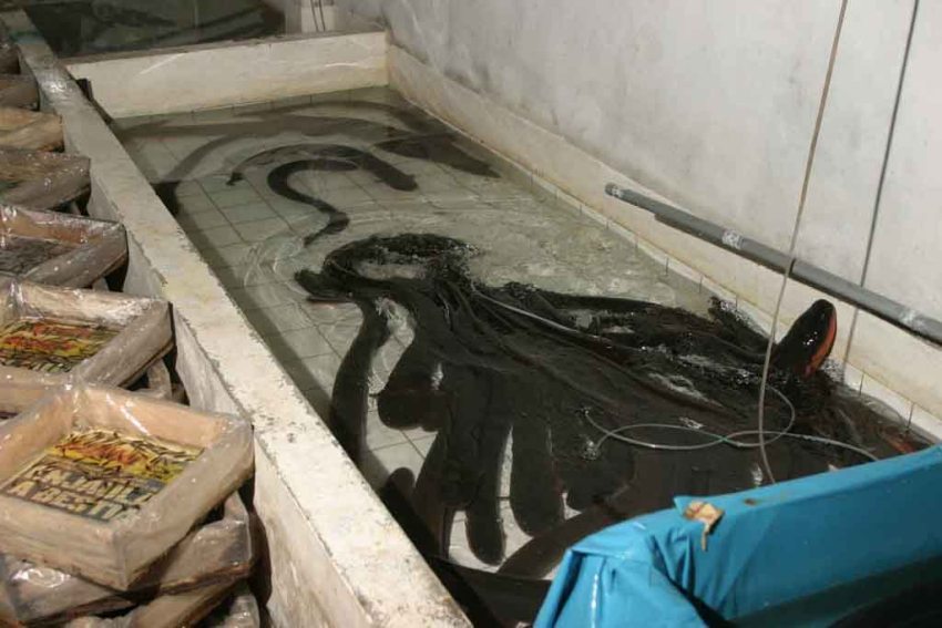ELETTRICA MORTALE VOLT SCARICARE
