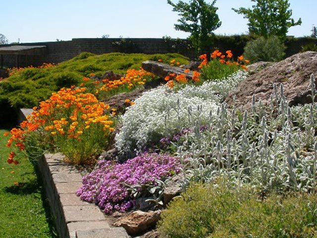 Giardini rocciosi. beautiful di giardino roccioso with giardini ... Piante perenni per giardino roccioso