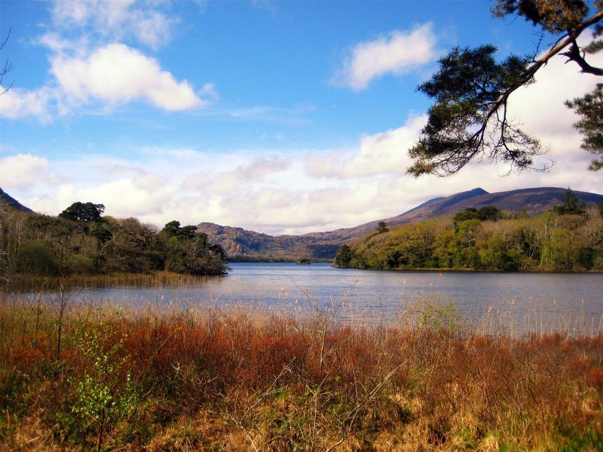 IRLANDA IL PARCO NAZIONALE DI KILLARNEY, UN INCREDIBILE BELLEZZA DEL