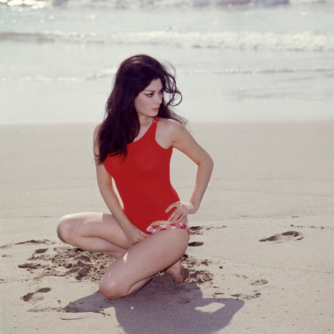 LE ICONE DEGLI ANNI 60 IN COSTUME DA BAGNO, DALLA LOREN ALLA ... LE ICONE DEGLI ANNI 60 IN COSTUME DA BAGNO, DALLA LOREN ALLA ...
