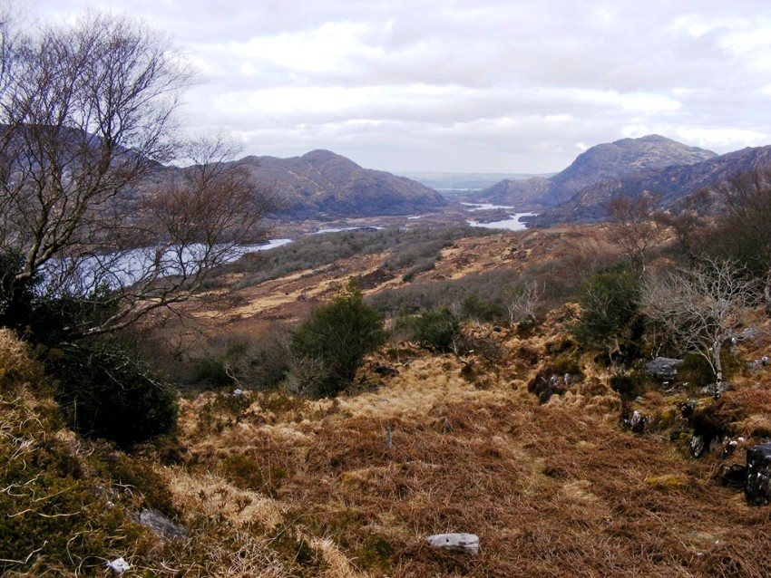 IRLANDA IL PARCO NAZIONALE DI KILLARNEY, UN INCREDIBILE BELLEZZA DEL