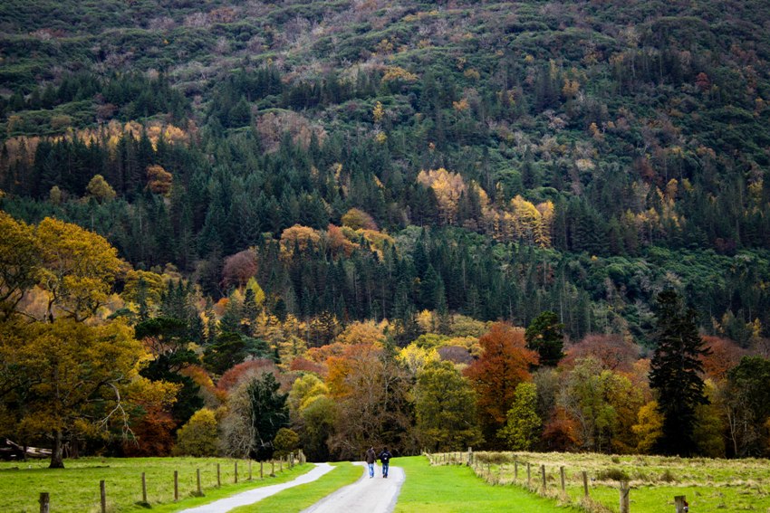 IRLANDA IL PARCO NAZIONALE DI KILLARNEY, UN INCREDIBILE BELLEZZA DEL
