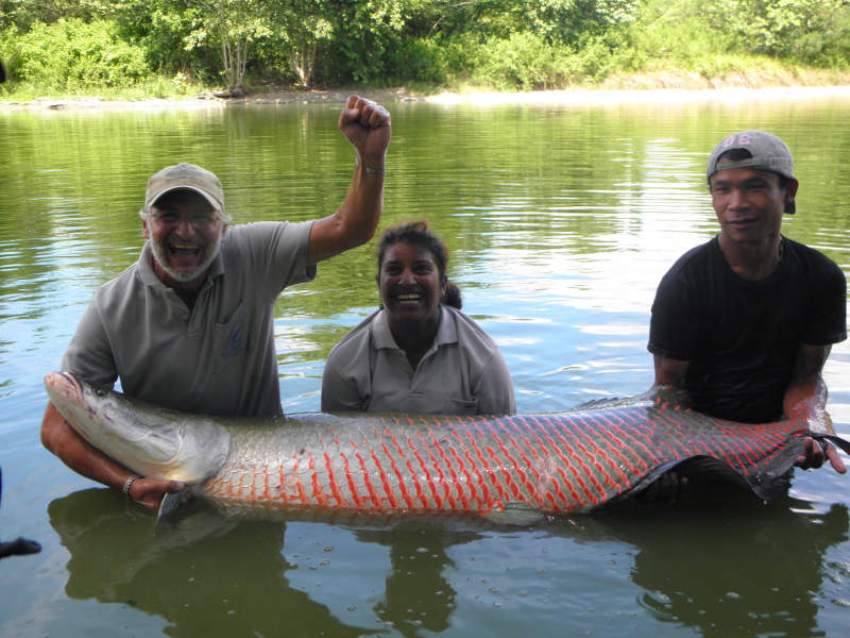 L'ARAPAIMA: IL PIÙ GRANDE PESCE FOSSILE VIVENTE D'ACQUA DOLCE