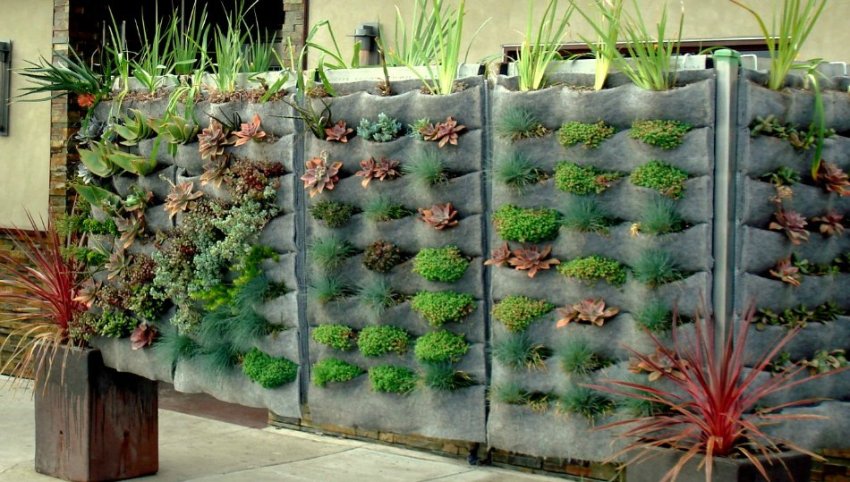 Verde verticale per interni. simple il giardino verticale pu essere ... Come costruire un giardino verticale